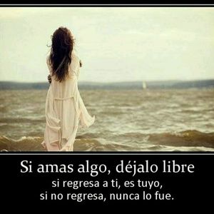 Meet your Posher, Isamar